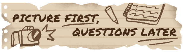 Picture First, Questions Later